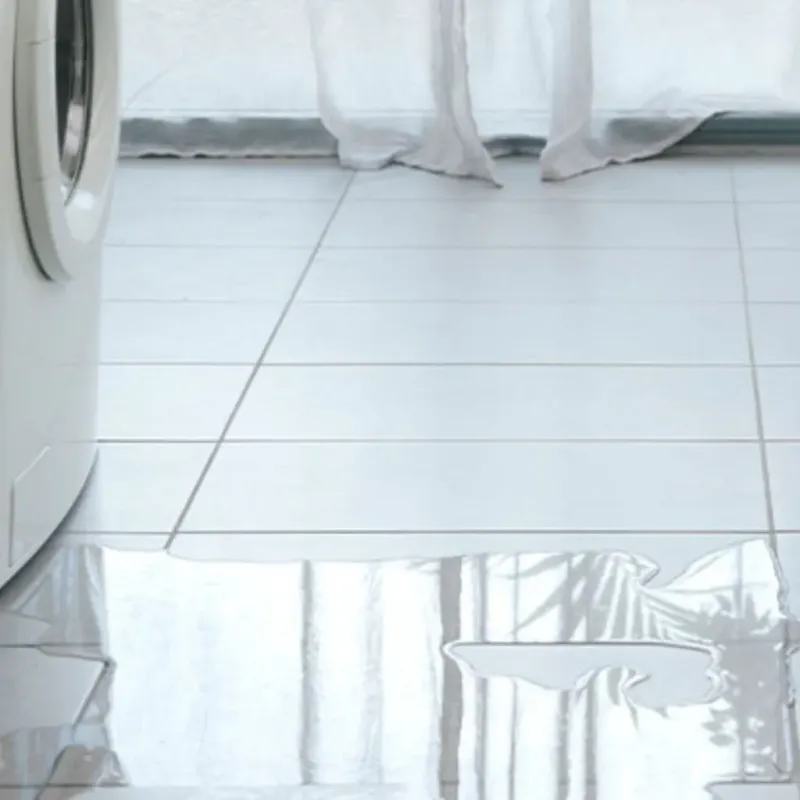 Appliance Leak Cleanup in South Gate Ridge, FL